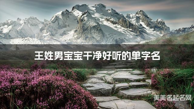 王姓男宝宝干净好听的单字名  有灵气的宝宝单字名大全