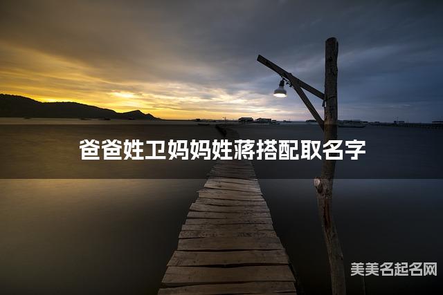 有灵气的男宝名字，爸爸姓卫妈妈姓蒋搭配取名