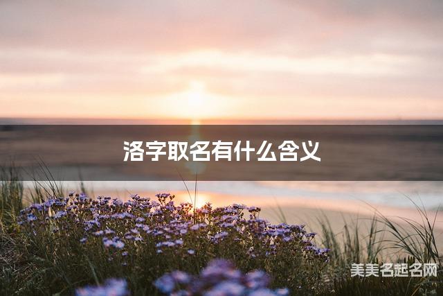 洛字取名有什么含义，用来女宝取名字