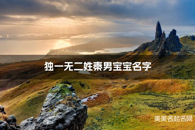 取名字大全女孩免费 独一无二姓秦男宝宝名字