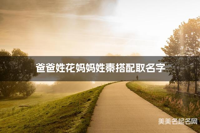 花姓和秦姓搭配取男宝名字推荐