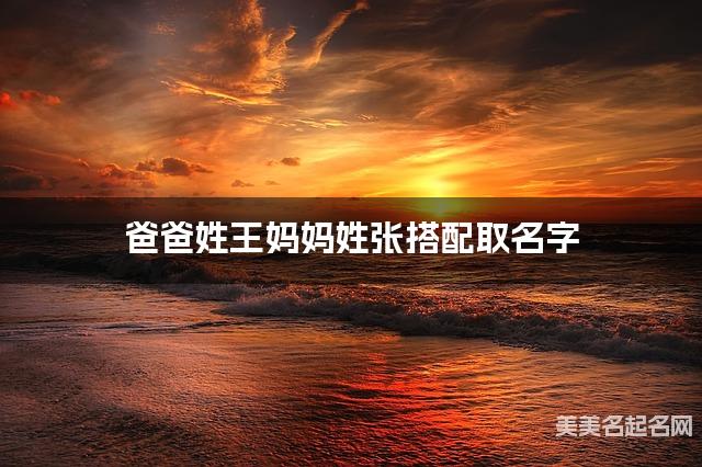 王张姓结合取男生名字如何取