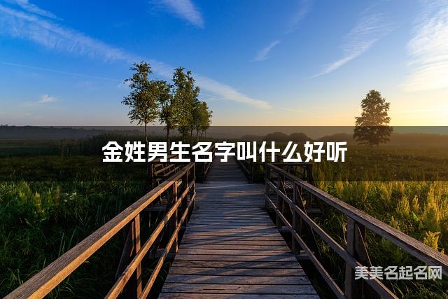 在线取名起名 金姓男生名字叫什么好听