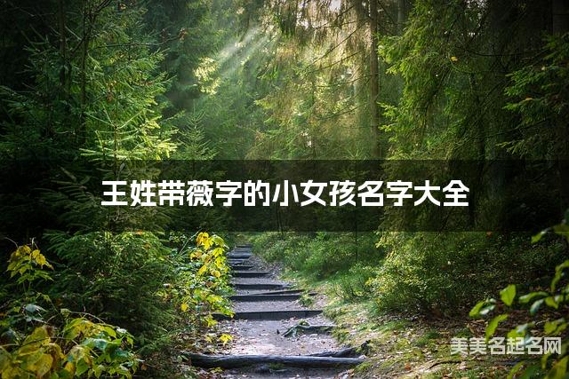 王姓带薇字的小女孩名字大全