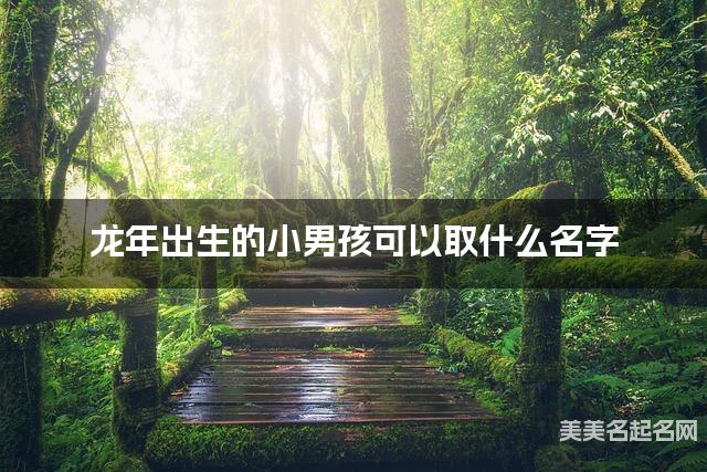 龍年出生的小男孩可以取什麽名字（有氣質）