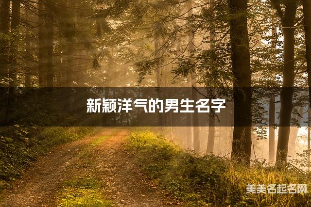 取名字在线生成 新颖洋气的男生名字