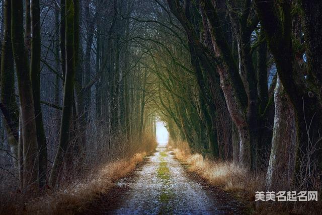 取名神器起名助手 女生独一无二与众不同的名字500个