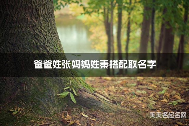 有含义的小男孩名字，爸爸姓张妈妈姓秦搭配取名