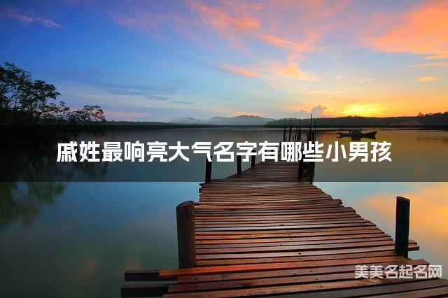 戚姓最响亮大气名字有哪些小男孩