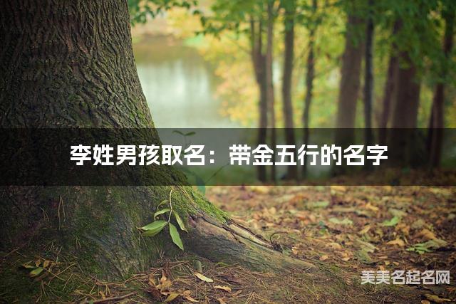 李姓男孩取名：带金五行的名字（有涵养）