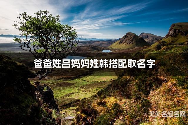 把吕姓和韩姓结合取男孩名字方案参考