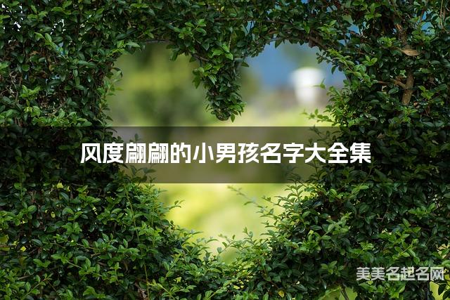 風度翩翩的小男孩名字大全集 有中國文化特色的名字