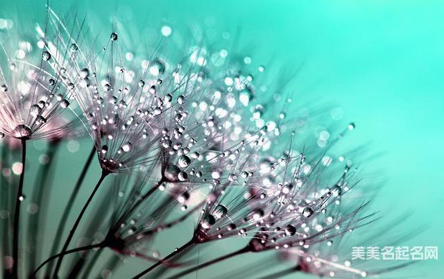 在线取名起名 尤姓有内涵过目不忘的名字100分