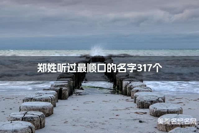 郑姓听过最顺口的名字317个