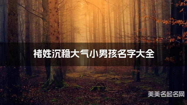 褚姓沉穩大氣小男孩名字大全