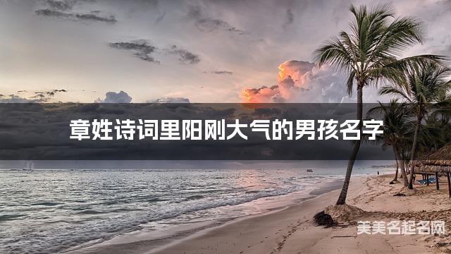 取名字大全免费查询 章姓诗词里阳刚大气的男孩名字