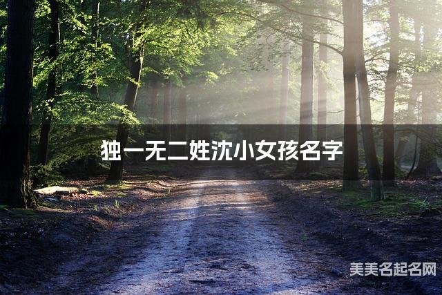 起名字免费 独一无二姓沈小女孩名字