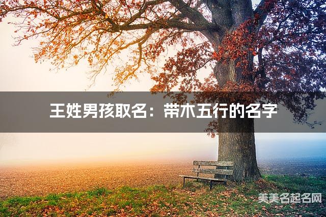 王姓男孩取名：带木五行的名字（有诗意）