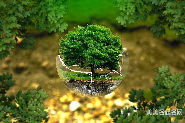 郎姓有文采典故的男生名字100分