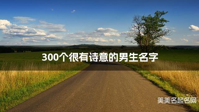300个很有诗意的男生名字
