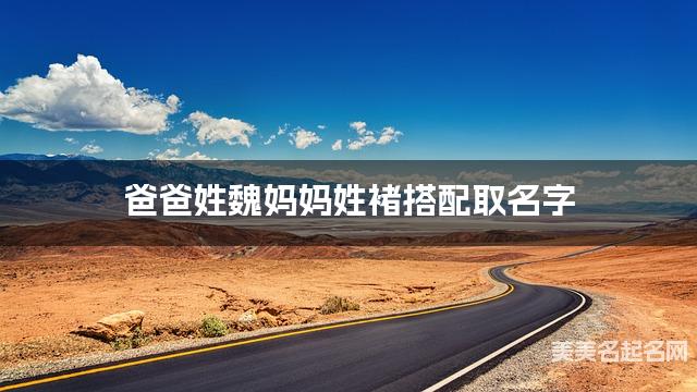 爸爸姓魏妈妈姓褚搭配取名字