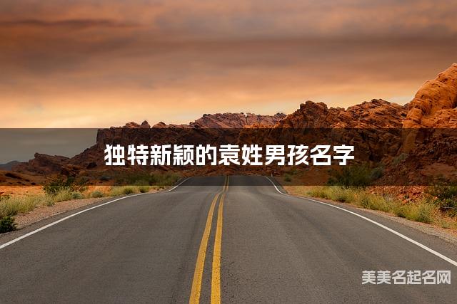 取名字在线生成 独特新颖的袁姓男孩名字