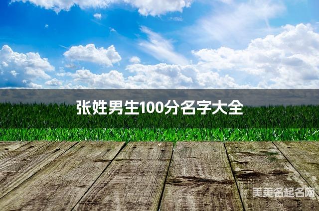 张姓男生100分名字大全