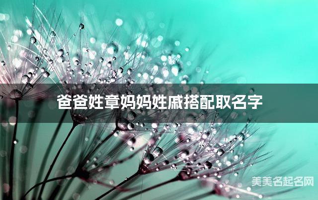 爸爸姓章妈妈姓戚搭配取名字