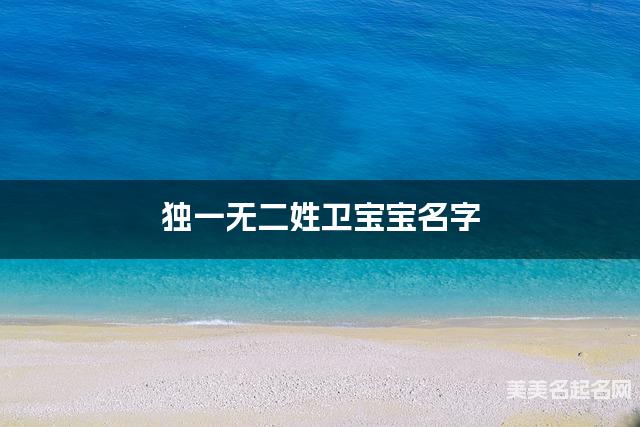 取名字在线大师取名 独一无二姓卫宝宝名字