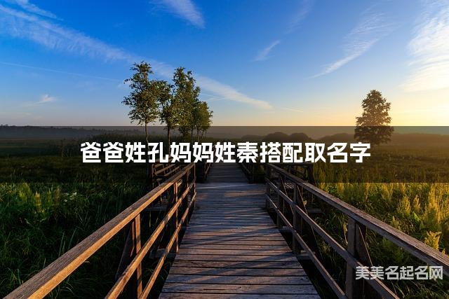 孔秦姓氏搭配取名，有创意的男生名字案例