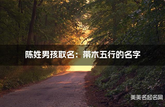 陈姓男孩取名：带木五行的名字（有气质）