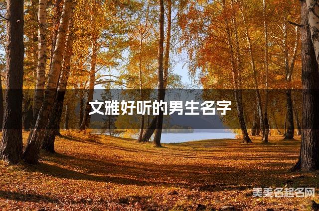 文雅好听的男生名字（481个最新）