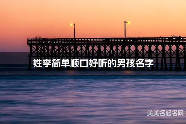 姓李简单顺口好听的男孩名字