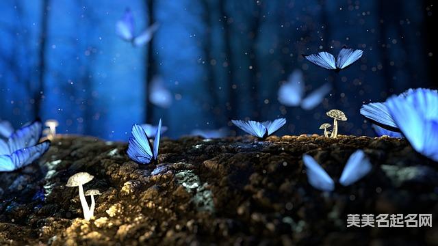 取名字在线大师取名 王姓有哲理诗意的女宝名字100分