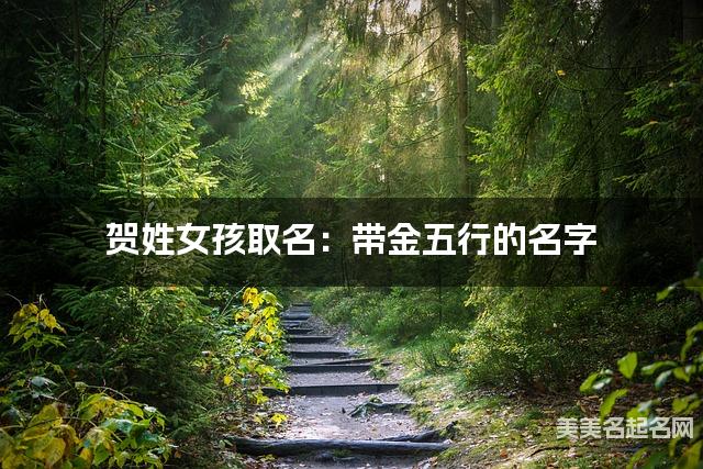 贺姓女孩取名：带金五行的名字（有寓意）