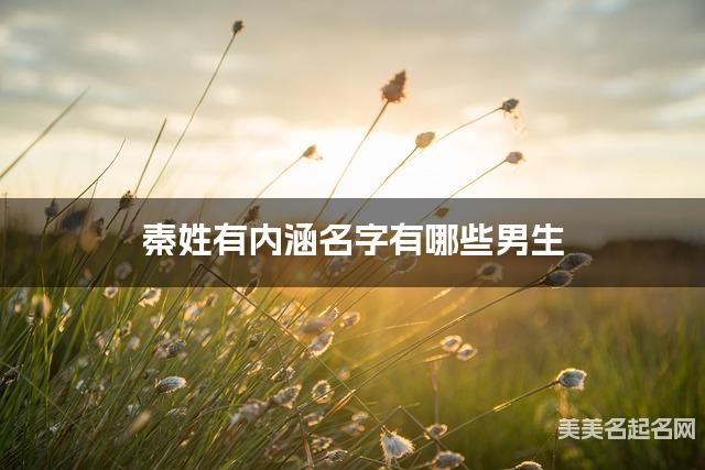 秦姓有内涵名字有哪些男生