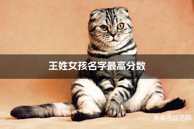起名取名神器 王姓女孩名字最高分数