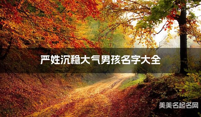 严姓沉稳大气男孩名字大全 严姓沉稳大气男孩名字大全