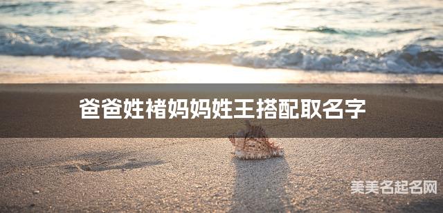 父母褚姓和王姓男宝宝取名搭配推荐（文雅好听）