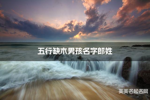 五行缺木男孩名字郎姓 有诗意的宝宝名字大全