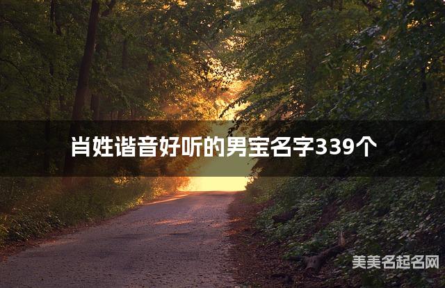 肖姓谐音好听的男宝名字339个