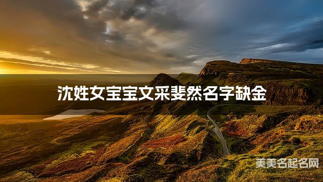 沈姓女宝宝文采斐然名字缺金 有寓意的宝宝名字大全