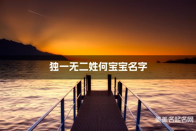 取名字在线大师取名 独一无二姓何宝宝名字