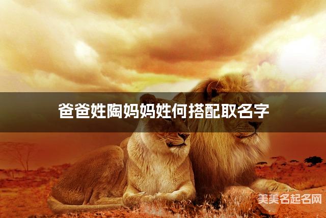 陶姓和何姓搭配取名好听的男宝名字有哪些