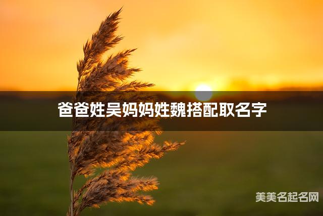 爸爸姓吴妈妈姓魏搭配取名字