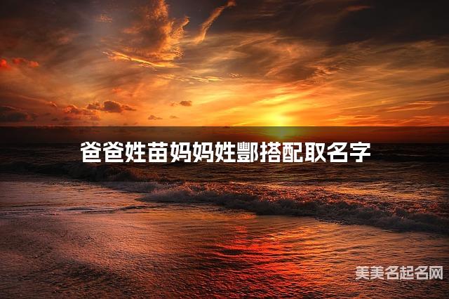 苗酆姓氏搭配取名，有气质的女宝名字案例