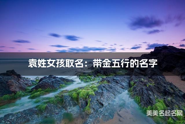袁姓女孩取名：带金五行的名字（有灵气）