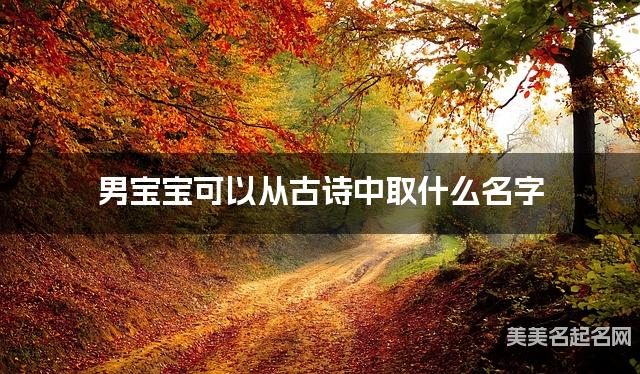 男宝宝可以从古诗中取什么名字