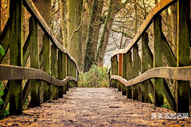 免费取名网：新颖洋气的宝宝名字大全