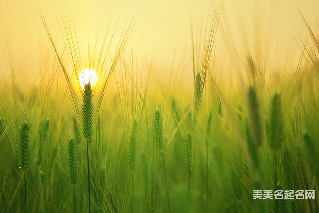 起名字大師周易起好名 女宝宝起一個独一无二与众不同的名字